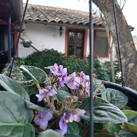 Hotel Boutique Casabella Coatepec Kültér fotó