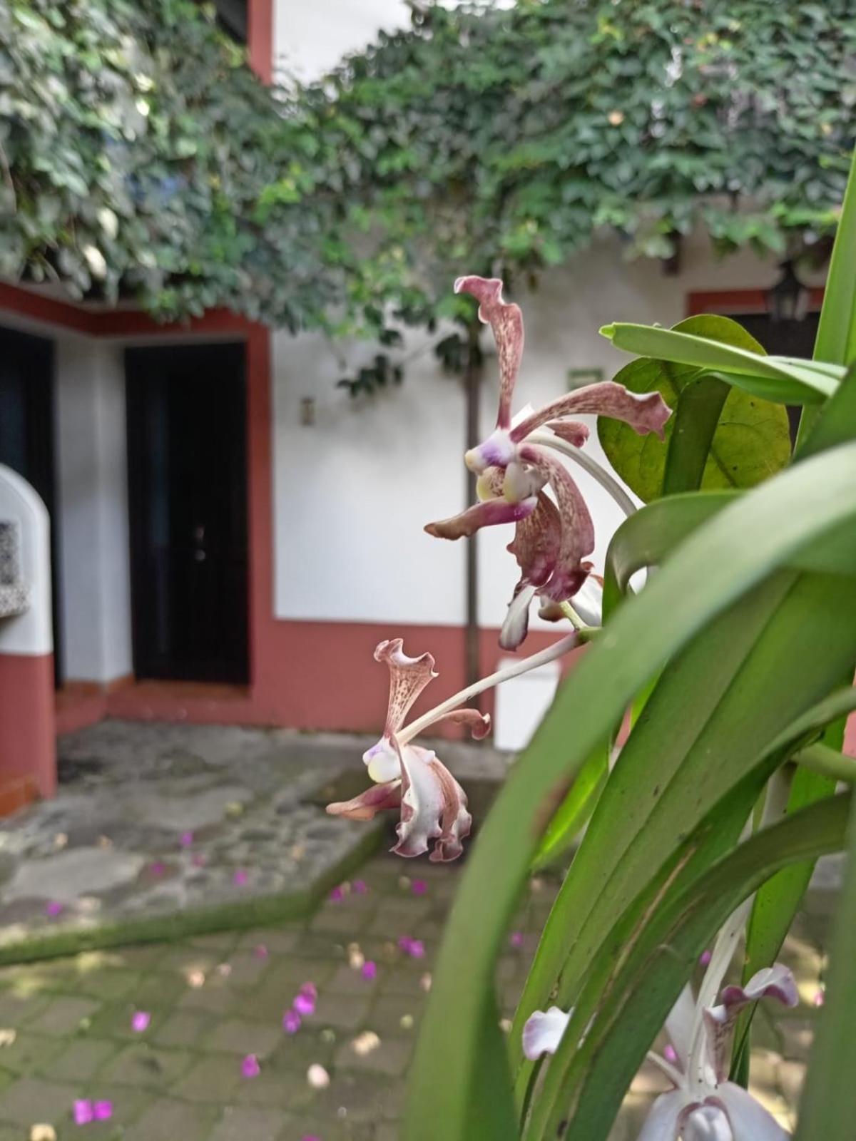 Hotel Boutique Casabella Coatepec Kültér fotó