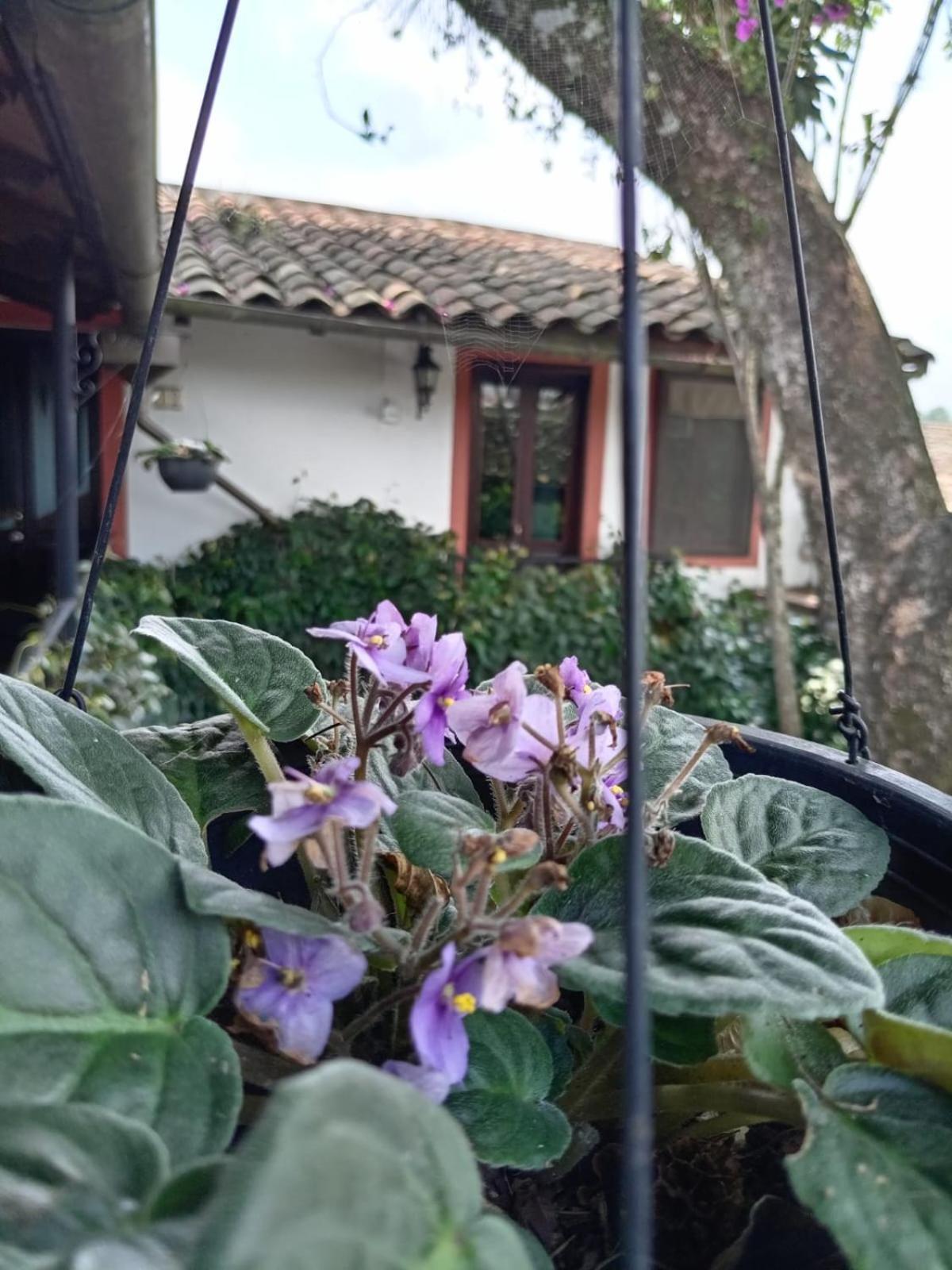 Hotel Boutique Casabella Coatepec Kültér fotó
