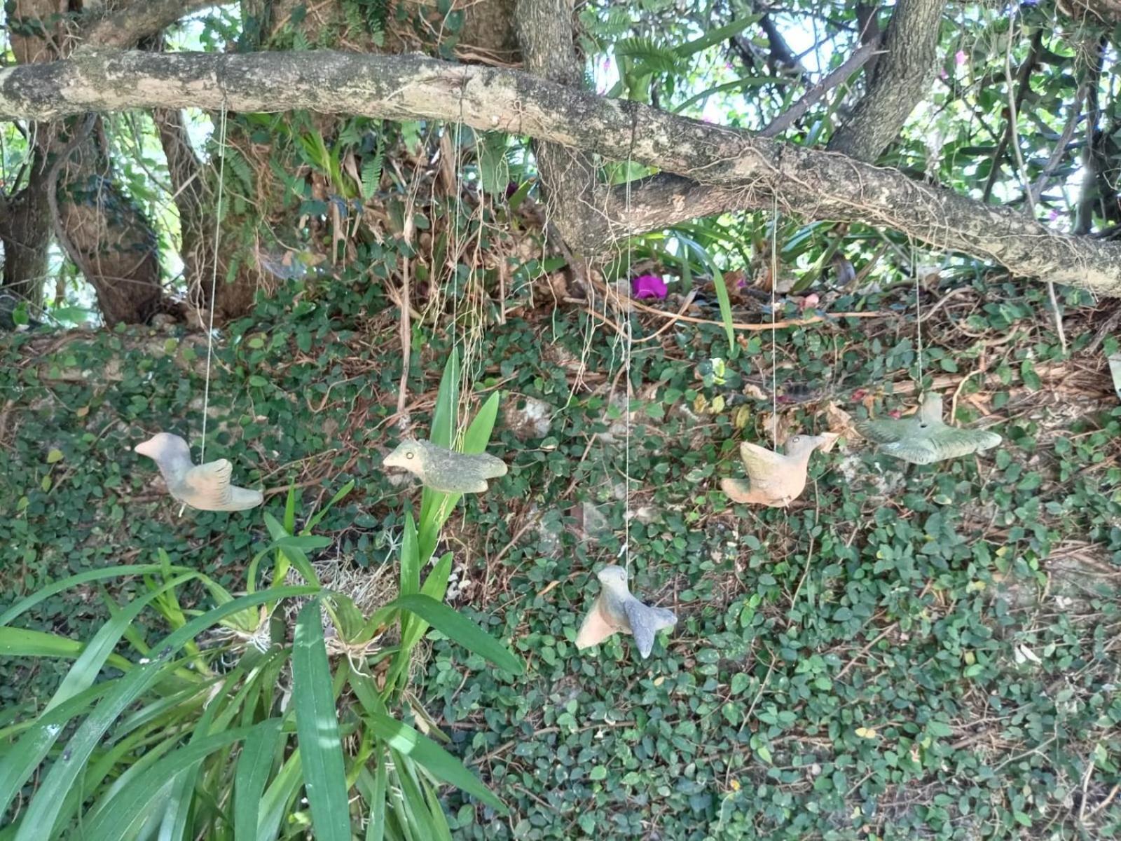 Hotel Boutique Casabella Coatepec Kültér fotó