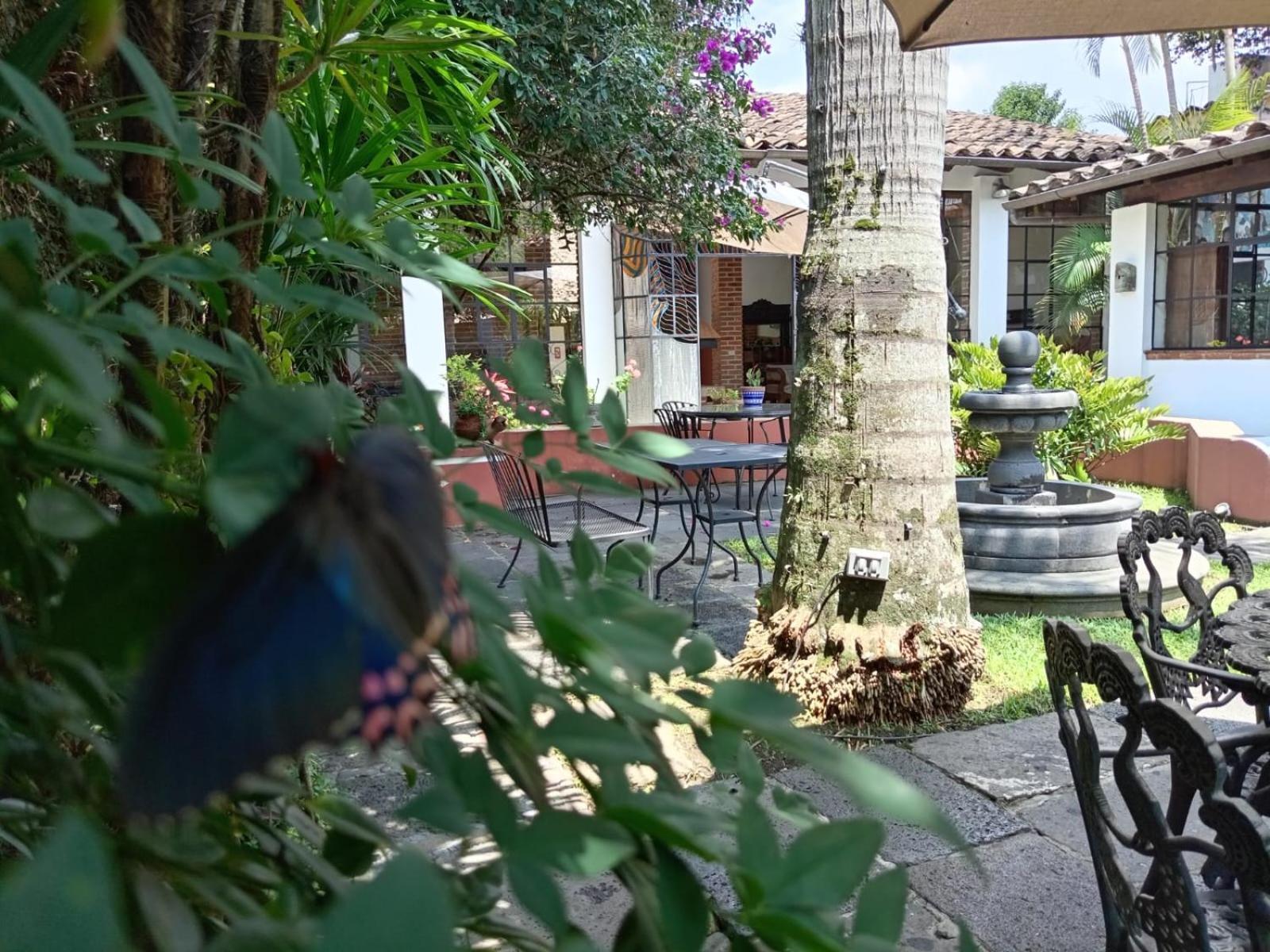 Hotel Boutique Casabella Coatepec Kültér fotó