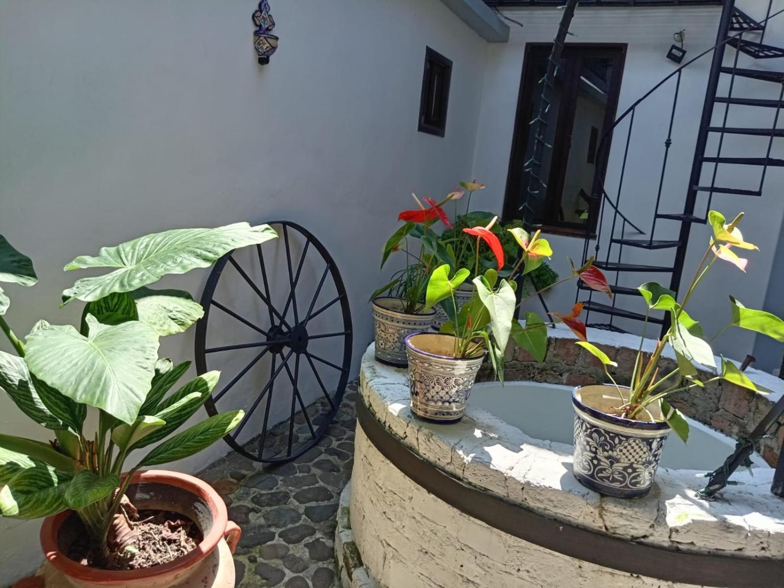 Hotel Boutique Casabella Coatepec Kültér fotó